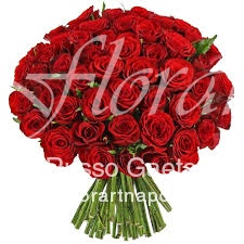 50 Rose Rosse